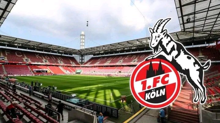 EIL-SCHOCK BEIM FC BAYERN! Superstar Harry Kane fällt im Kracher gegen den 1. FC Köln völlig überraschend aus – ein Paukenschlag, der die Bundesliga in Atem hält! ⚽ Nur wenige Stunden vor Anpfiff kam die Schockmeldung: Der Torjäger steht den Münchnern nicht zur Verfügung. Ohne ihren Top-Stürmer droht dem Rekordmeister ein schwerer Rückschlag im Titelrennen. Fans sind geschockt, Experten rätseln – was bedeutet dieses Fehlen für den FC Bayern und die ganze Liga?