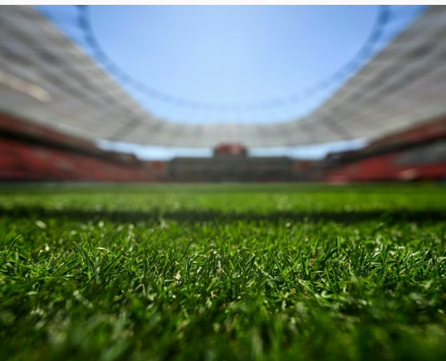 Überraschung aus Frankfurt! Bayer Leverkusen mag 2024/25 weder die Bundesliga noch den DFB-Pokal verteidigt haben – doch ganz leer gingen die Werkself nicht aus: Die DFL kürt die BayArena offiziell mit dem prestigeträchtigen Pitch of the Season Award! Ein sensationelles Ausrufezeichen für perfekte Pflege, modernste Technik und ein Spielfeld, das europaweit Maßstäbe setzt. Während die Titeljagd noch auf sich warten lässt, feiert Leverkusen damit einen Triumph der besonderen Art – und schreibt erneut Bundesliga-Geschichte! ⚫