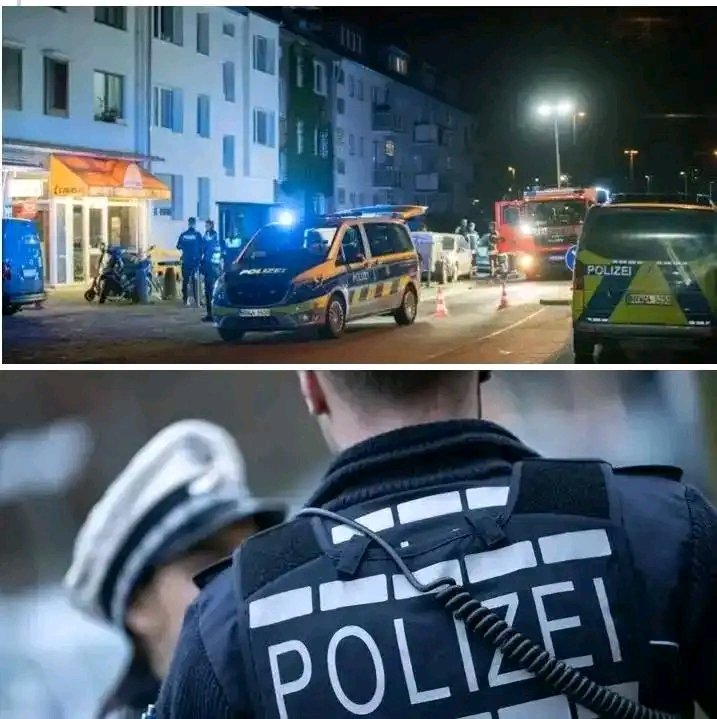 ⚡ UNGLAUBLICHER SCHOCK IN KÖLN! ⚡ Ein Albtraum, wie ihn niemand je für möglich gehalten hätte: Der 1. FC Köln erlebt den schwärzesten Tag seiner Vereinsgeschichte. Was als gewöhnlicher Spieltag begann, endet in purer Katastrophe – Fans brechen in Tränen aus, Spieler wirken wie erstarrt, das Stadion verwandelt sich in eine gespenstische Stille. Hoffnung zerplatzt, Träume gehen in Scherben, der Verein taumelt in Chaos und Ratlosigkeit. Köln steht unter Schock, während Schmerz, Fassungslosigkeit und grenzenlose Enttäuschung die Stadt erfassen – ein historischer Tag voller Dramatik und Entsetzen!