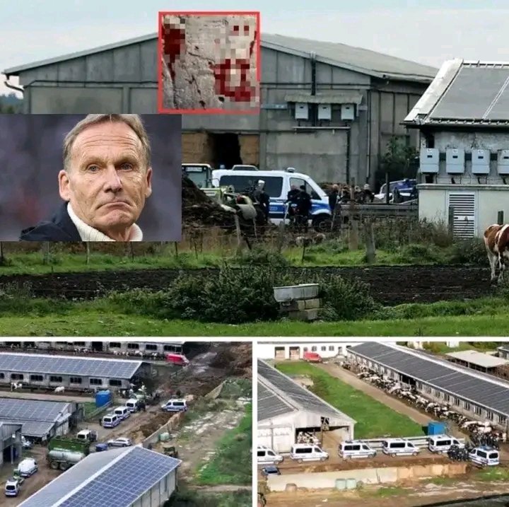 DORTMUND-ERDBEBEN! POLIZEI-Razzia bei HANS-JOACHIM WATZKES GEHEIMER DROGENFIRMA erschüttert BORUSSIA!