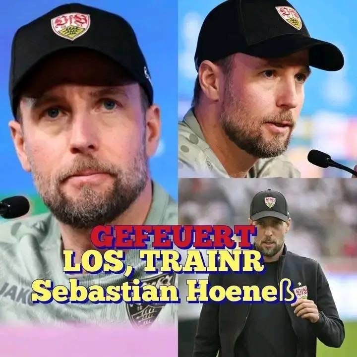 BOMBENSCHLAG BEIM VFB STUTTGART! Der Verein steht Kopf – Sebastian Hoeneß ist nicht länger Cheftrainer des VfB Stuttgart! Nach einer Reihe von enttäuschenden