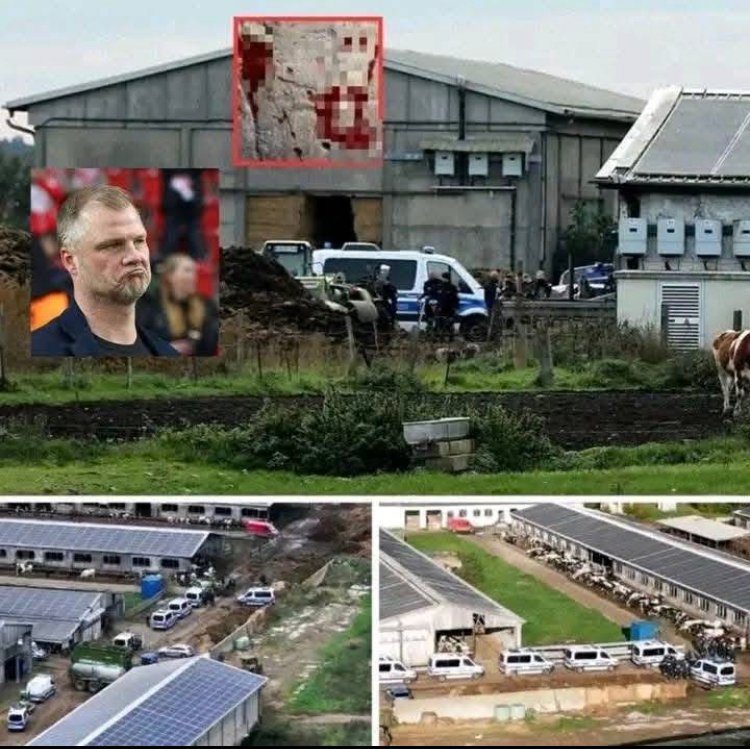 Ermittler durchbrechen Wände – Razzia bei geheimer Firma von VfB-Sportchef Fabian Wohlgemuth: der dringlichste Fall im deutschen Fußball?